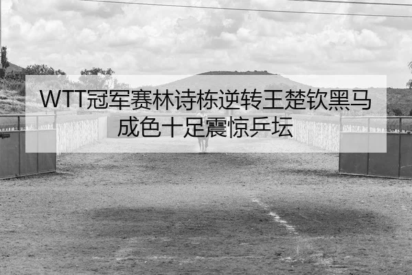 guan-jun-sai-lin-shi-dong-ni-zhuan-wang-chu-qin-hei-ma-cheng-se-shi-zu-zhen-jing-ping-tan-1-513.jpg